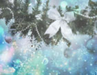Christmas Wallpapers 217